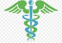 Health Care Logo Professional Medicine Clip Art Medical Awesome Cliparts Newest 13
